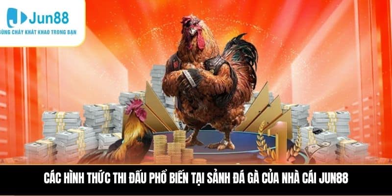 Các hình thức thi đấu phổ biến tại sảnh đá gà của nhà cái JUN88