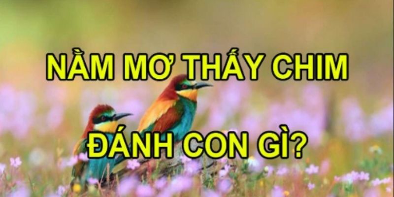 Giải mã ý nghĩa khi mơ nhìn thấy chim - Jun88 6 Những con số tương ứng với giấc mơ nhìn thấy chim (Nguồn: Internet).