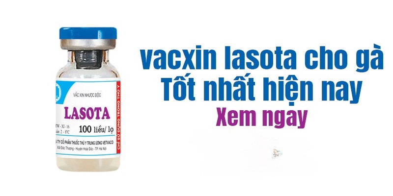 Vacxin Lasota Chịu Nhiệt Có Tác Dụng Gì? Cách Sử Dụng? 5 Vacxin Lasota Chịu Nhiệt Có Tác Dụng Gì